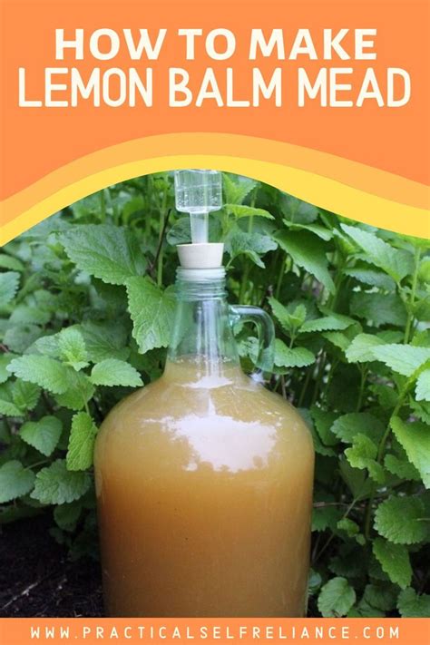 Lemon Balm Mead | Recipe | Lemon balm recipes, Mead recipe, Lemon balm