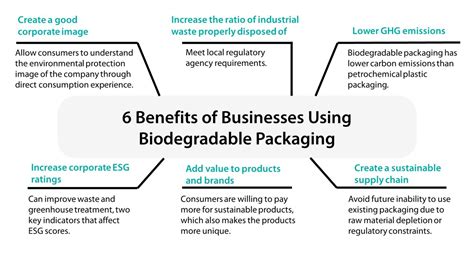 Biodegradable Packaging Materials Types and 5 Steps to Use it - renouvo