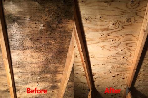 Attic Mold Removal | CleanFirst Restoration