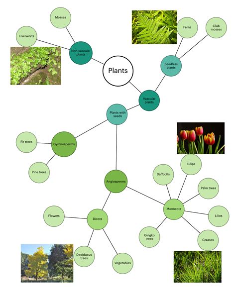 [DIAGRAM] Microsoft Cluster Diagram - MYDIAGRAM.ONLINE