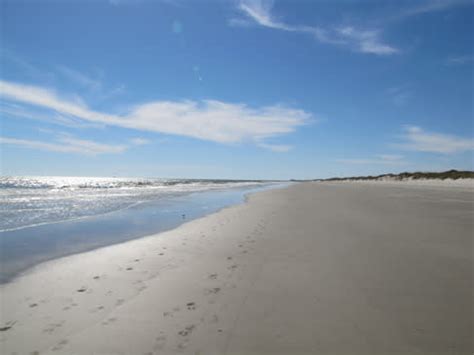 Bird Island | Sunset Beach, NC 28468