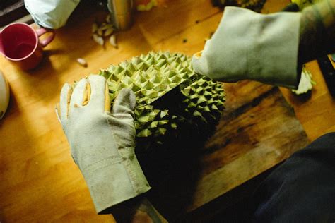 Why Does the Durian Fruit Smell So Terrible? | by Tropical Page | ILLUMINATION | Medium