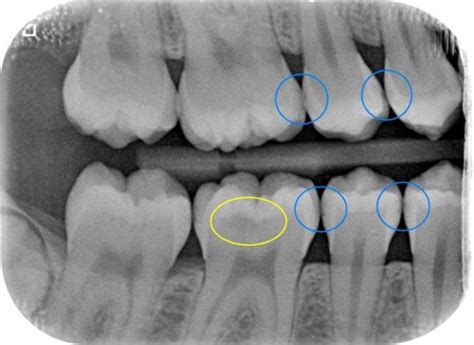 Admin – Keith Dental Practice