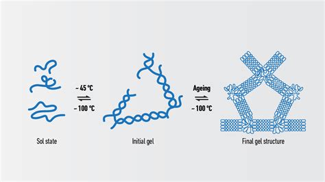 what causes the DNA fragments to move through the gel - McCary Raidaured74