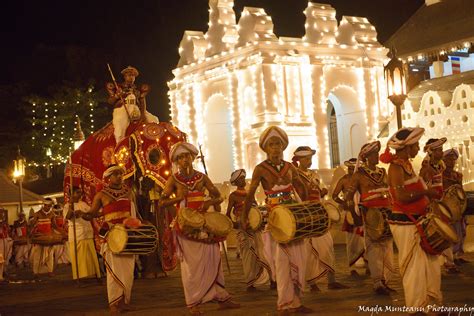 Esala Perahera elephant festival in Kandy, Sri Lanka — Magda Munteanu