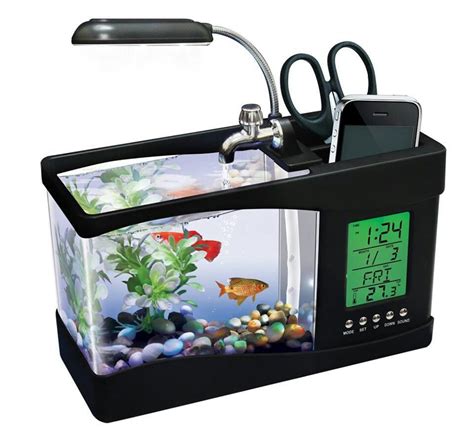 Pecera | Desktop aquarium, Mini aquarium, Fish tank