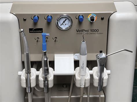 Veterinary Dental Equipment: Uses and Maintenance