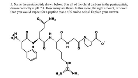 Solved 5. Name the pentapeptide drawn below. Star all of the | Chegg.com