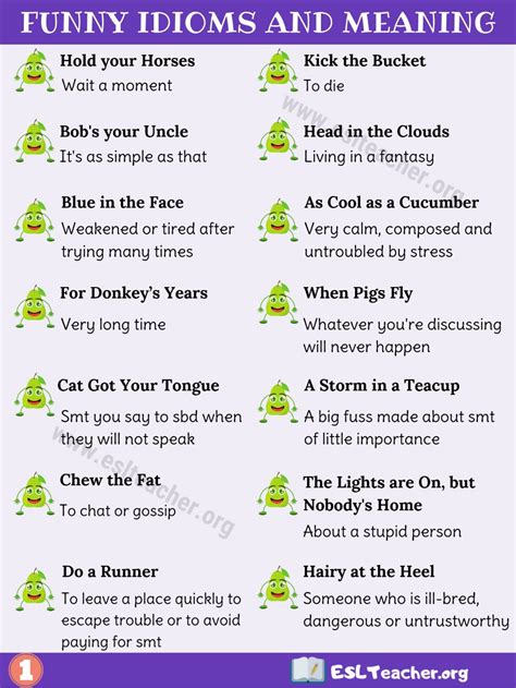 Funny Idioms: List of 25 Best Funny Idioms You May Not Know | English ...