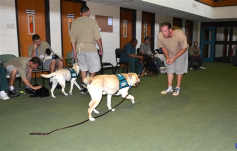 PRISON DOG PROGRAMS ~ BRIDGES and PATHWAYS of COURAGE: OSHKOSH CORRECTIONAL INSTITUTION ...