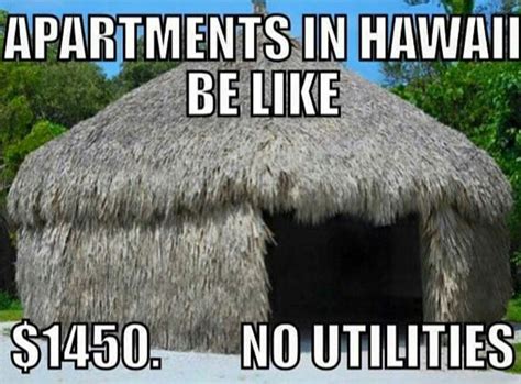 Hilarious Hawai‘i Memes That are Too Real for Locals