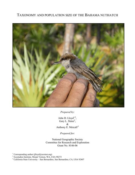 (PDF) Taxonomy and population size of the Bahama Nuthatch