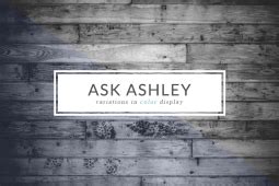 Ask Ashley, Volume 1: Color Display Variations - Dinosaur Stew