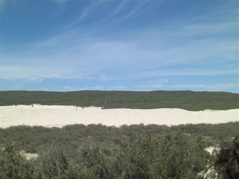 Sand Dunes that make up Fraser Island, Australia | Fraser island, Travel reading, Natural landmarks