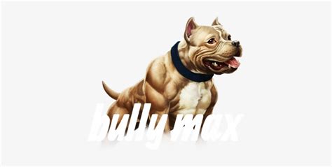 Watch Pit Bull Puppy Training Videos And Read Pitbull - Bully Max Muscle Building Dog Chews ...