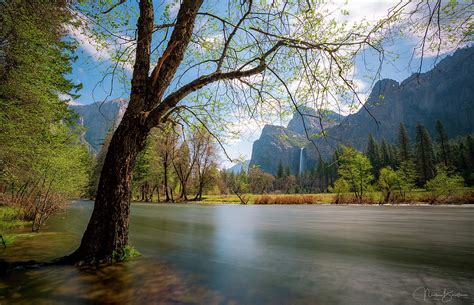 Valley View - Yosemite NP Photograph by Nick Borelli | Fine Art America