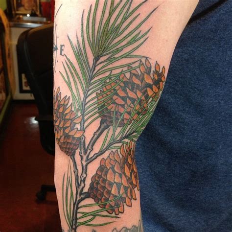 Incredibly realistic pine tree branch with cones colored tattoo on arm - Tattooimages.biz