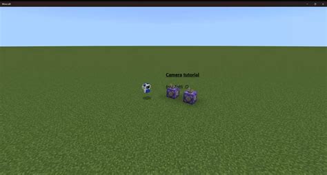 Camera Map (with tutorial) Minecraft Map