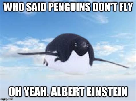 Flyin' Penguin - Imgflip