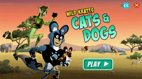 Wild Kratts: Cats and Dogs || Wild Kratts Games - YouTube