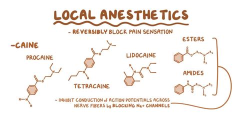 Anesthetic Agents Nerve Fibers