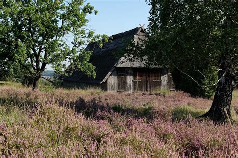 Schafstall in der Lüneburger Heide | Sheep shelter in the Lu… | Flickr