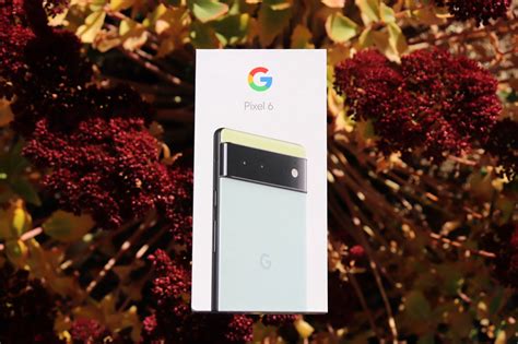 Google Pixel 6 and Pixel 6 Pro review: first impression, unboxing ...