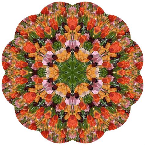 Selep Imaging Blog: Kaleidoscope Photoart