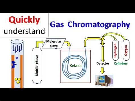 Column Gas Chromatography