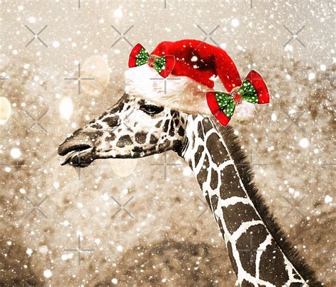 "Christmas Giraffe" by CarolM | Redbubble