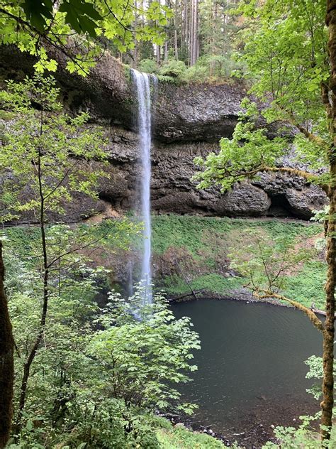 Silver Falls Canyon Trail Shorter Loop from Winter Falls Trailhead ...