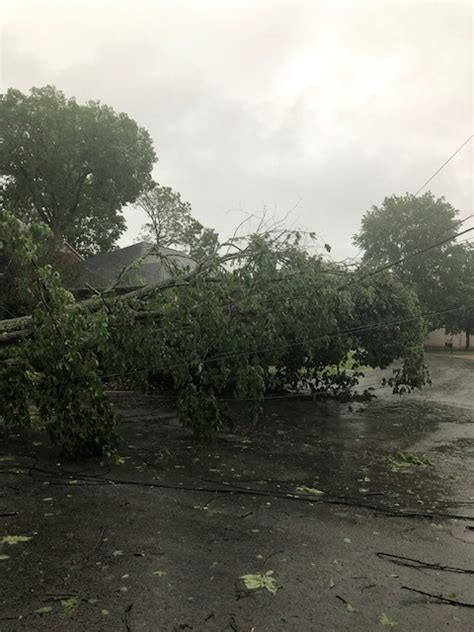 PHOTOS: Storm damage across Tennessee | WKRN News 2