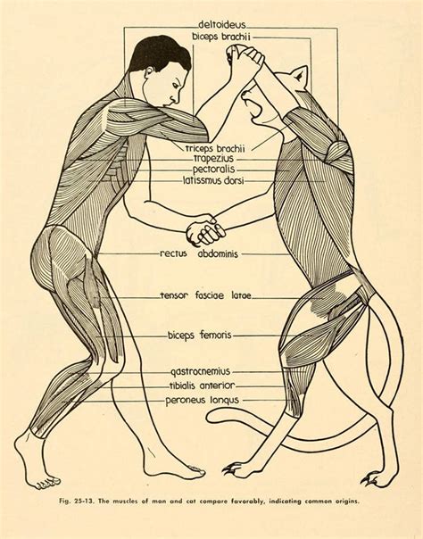 28 Science Diagrams Full of WTF - Wtf Gallery | eBaum's World