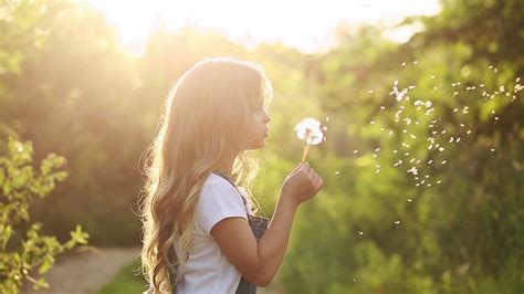 Blowing Dandelion Wallpaper (71+ images)