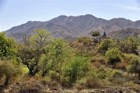 Ancient Temple at Ranakpur in Aravali Hills Stock Photo - Image of flower, valley: 293620224