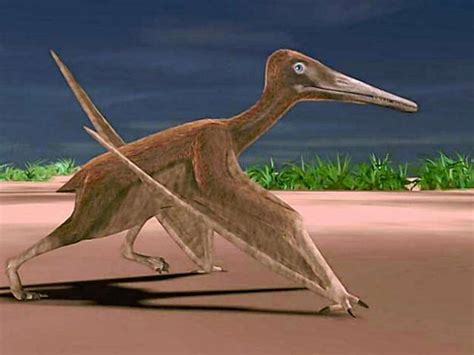 Fossils of Pterosaur, flying Texas reptile, unearthed by SMU researchers