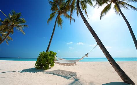 nature, Landscape, Hammocks, Beach, White, Sand, Palm Trees, Sea, Blue ...