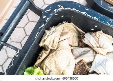 605 Maggots On Meat Images, Stock Photos & Vectors | Shutterstock