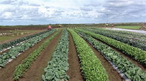 Climate Change Is Making It Possible To Farm The Alaskan Tundra