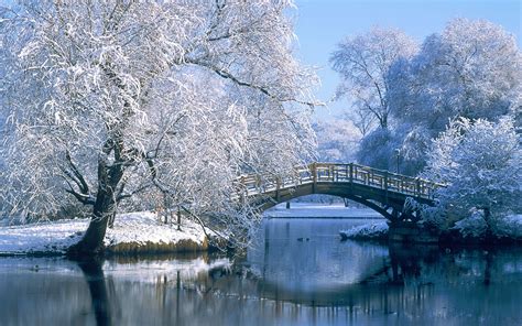 Winter background images ·① Download free awesome High Resolution wallpapers for desktop ...