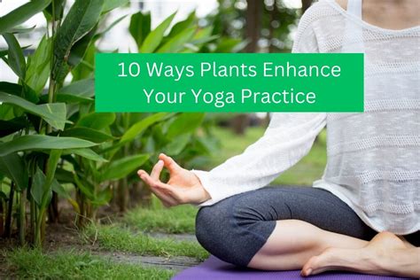 10 Ways Plants Enhance Your Yoga Practice