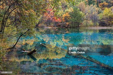 3,159 Jiuzhaigou Stock Photos, High-Res Pictures, and Images - Getty Images