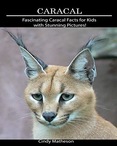 Caracal: Fascinating Caracal Facts for Kids with Stunning Pictures! by Cindy Matheson | Goodreads