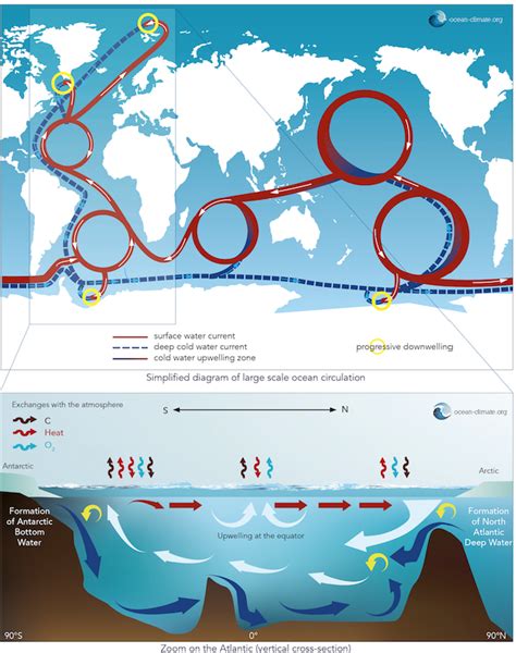 Ocean circulation – Ocean & Climate Platform