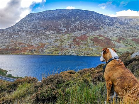 Beginners Guide to hiking mountains: Snowdonia National Park ...