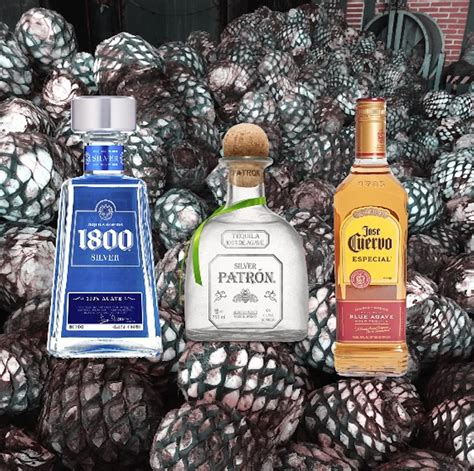 Best Mexican Tequila Brands