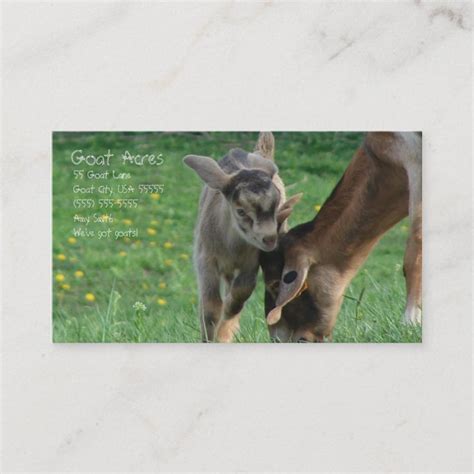 two baby goats playing in the grass with their mother business card templates, front and back ...