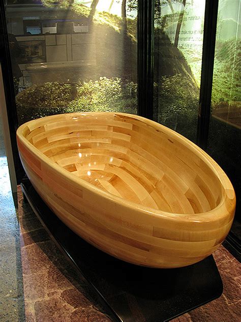 Top 10 Most Unique Bathtub Designs You Must See