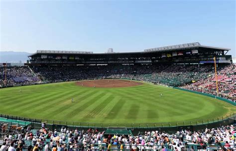 Hanshin Tigers Tickets - StubHub