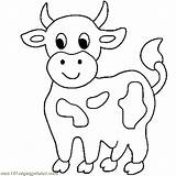 Coloring Pages Of A Cow  Home sketch template